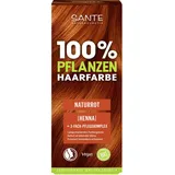 Sante Pflanzenhaarfarbe Naturrot 06