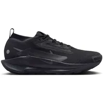 Nike Herren Pegasus Trail 5 GTX schwarz 47.0