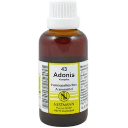 Nestmann 43 Adonis Komplex