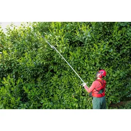 Ikra mogatec IKRA Gartenpflege Set Multitool IBKH 52-1 Benzin 4in1: Freischneider Rasentrimmer Entaster Heckenschere 51,7cm3 1,5kW