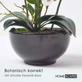 Homescapes - künstliche Weiße Phalaenopsis-orchidee im schwarzen Keramiktopf, 62 cm