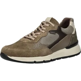 Nero Giardini Sneaker Low Herren Braun 44