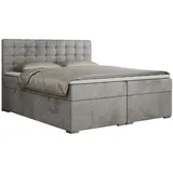 MKS Boxbett, SUSAN 160/200 Hellgrau Velvet - H4