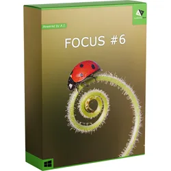 FOCUS #6