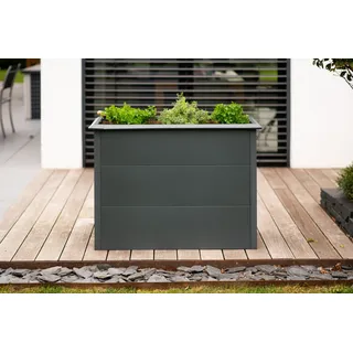 Westmann Primus M 100 x 50 x 77 cm Anthrazit