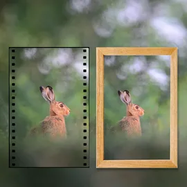 Denver WCT-8016 Wildkamera Grau