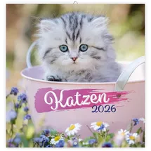trotsch Trötsch Broschürenkalender Katzen 2026: Wandplaner
