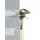 Bruno Banani Doppelrollo NURI 80 x 210 cm grau