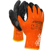 WS-Pro Trevendo Winterhandschuhe - 12 Paar - isolierte Handschuhe mit Latex Beschichtung - Kälteschutz - Sicherheitshandschuhe - Arbeitshandschuhe - kaltes Wetter - flexibel einsetzbar - Größe 10