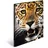 A3 leopard