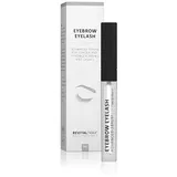 RevitalTrax Advanced Brauenserum und Wimpernserum | 5ml Premium Eyelash Booster | Erwiesene Ergebniss | Für längere und dickere Wimpern