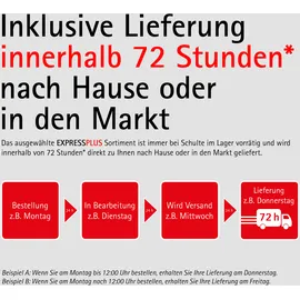 Schulte DuschMaster Rain II Square mit Thermostat und Ablage