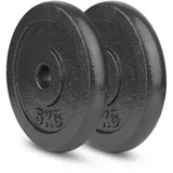 wuuhoo Hantelscheibe Hantelscheiben Manuel 27/29mm Gusseisen, 2er Set I Weight Plates 1' aus Gusseisen I Langhantelgewichte beschichtet für Home Gym I Grau 2 x 5kg