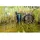 Metabo Kombi-Tauchpumpe KP 160-35 SF Karton