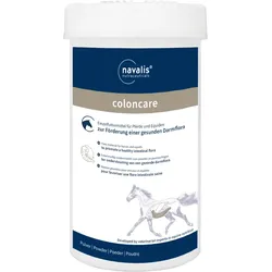 coloncare horse