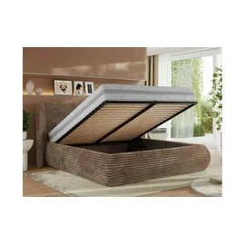 MKS Meble Polsterbett mit Bettkasten CAELA CLASSIC - braun ¦ Maße (cm): B: 225 H: 110