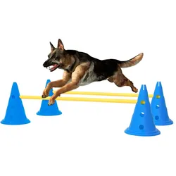 Agility Hundetraining Hindernis-Set Blau und Gelb