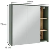Vicco Viola 80 cm grün