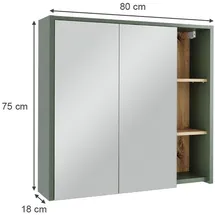 Vicco Viola 80 cm grün