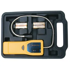 BGS Gasdetektor 2198