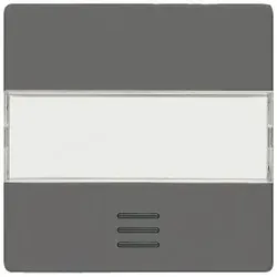 Siemens 5TG6231 DELTA i-system Wippe mit Fenster und Schriftfeld, carbonmetallic