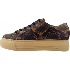 Paul Green Schnürschuh in Braun / Gr.: 36