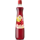 yo fruchtsirup at YO Sirup Himbeer-Zitrone