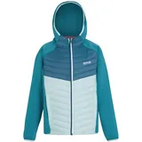 Regatta Kielder VIII Hybrid Softshelljacke Kinder, Farbe:Türkis, Kinder Größen:164 - Türkis