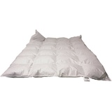 Betten Hofmann Classic Kassetten Daunendecke Daunenbett 4x6, 135x200 cm 1060 g Daunen