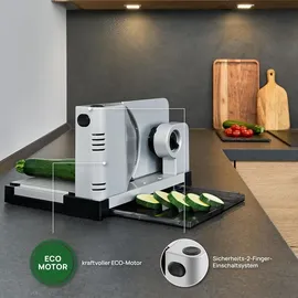 Ritter Icaro 7