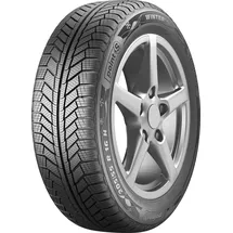Point S Winter S 195/65 R15 91T XL