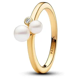 Pandora Damenring Pandora Timeless 163156C01-56 - gold - 56