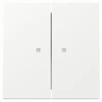 Gira Flächenschalter 363170