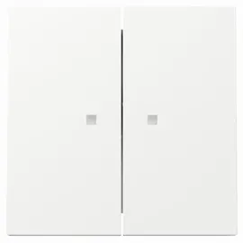 Gira Flächenschalter 363170