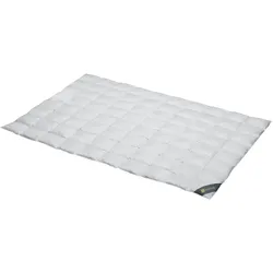Daunenbettdecke SPESSARTTRAUM "Wildente Bettdecken 135x200cm & weitere Größen", silber (silberfarben), B:240cm L:220cm, Bezug: 100% Baumwolle. Füllung: 100% Daunen, Bettdecken, Bettdecken Ganzjahresbettdecke, Winter, Sommer