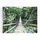 Art for the home - Wanddeko Leinwandbild Jungle", 100x75cm