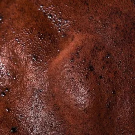 Tanologist Express Self-Tan Mousse