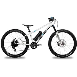 ben-e-bike, TWENTYFOUR E-Power PRO 24" Kinder E-Bike