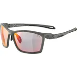 Alpina Twist Five QV - Kontrastverstärkende, Selbsttönende & Beschlagfreie Sport- & Fahrradbrille Mit 100% UV-Schutz Für Erwachsene, moon-grey matt, One Size