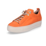 orange 38,5