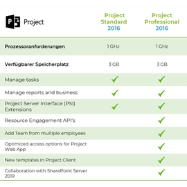 Microsoft Project Standard 2016 ESD ML Win
