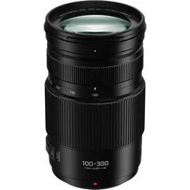 Panasonic Lumix G Vario 100-300mm F4,0-5,6 O.I.S II