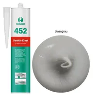 Ramsauer Gmbh & Co KG Sanitär Elast 1K Silikon