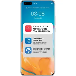 Huawei P40 Pro 8 GB RAM 256 GB Silver Frost