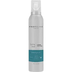 PROFI LINE Halt Styling Schaum 500ml