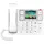 Fanvil X305 Big Button IP Telefon,
