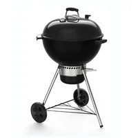 Weber Master-Touch GBS SE E-5755