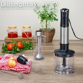 Zilan 5-in-1 Stabmixer Set Stabmixer