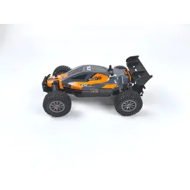 DF-Models RC-Buggy Rookie Fighter 2,4GHz RTR mehrfarbig (3147)