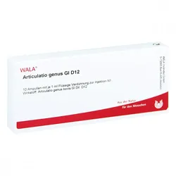 Articulatio Genus Gl D12 Ampullen